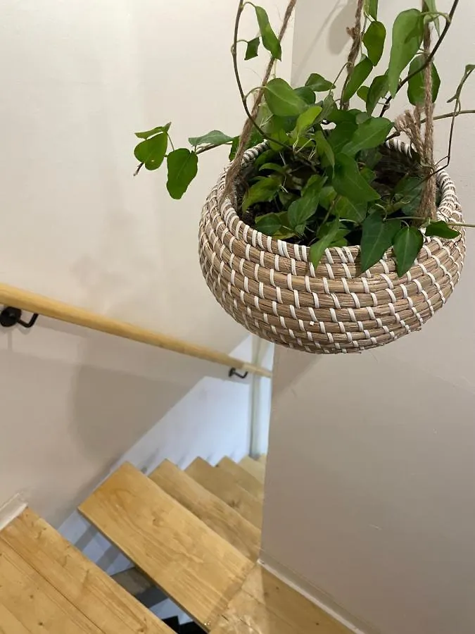 アパート Rosalia Loft, Nel Cuore Di Ballaro A Palermoアパートメント