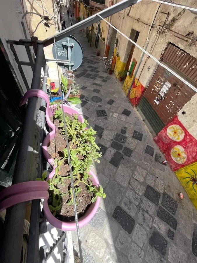 Rosalia Loft, Nel Cuore Di Ballaro A Palermoアパートメント